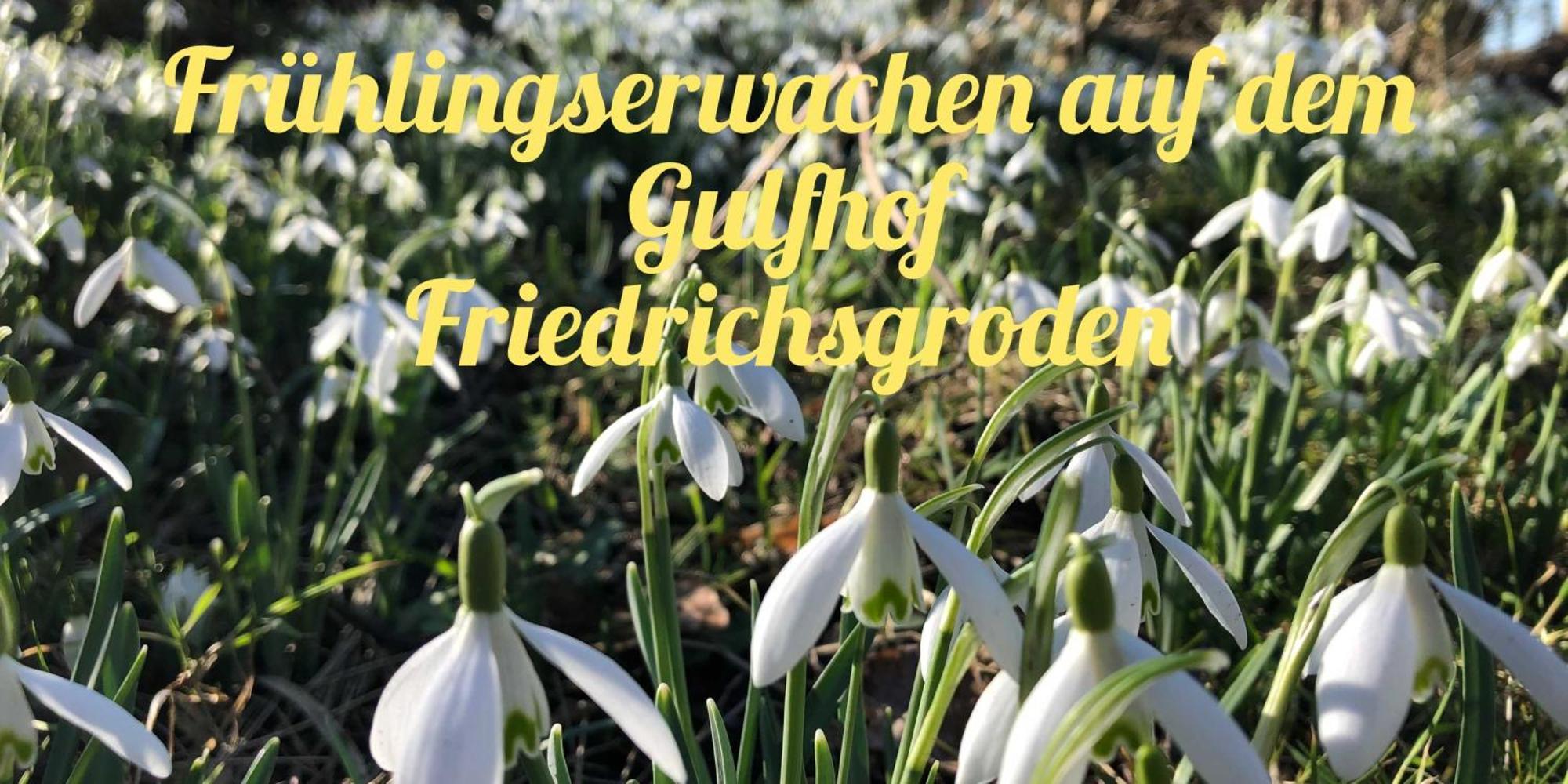 Вілла Gulfhof Friedrichsgroden Каролінензіль Екстер'єр фото